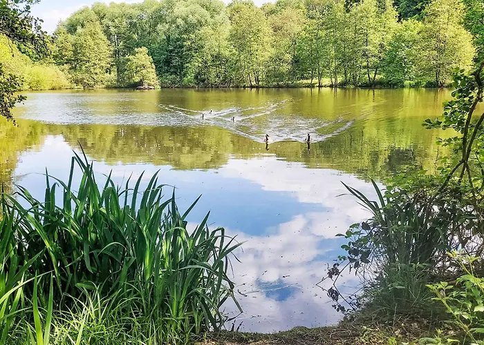 Apartment Rapunzel By Interhome